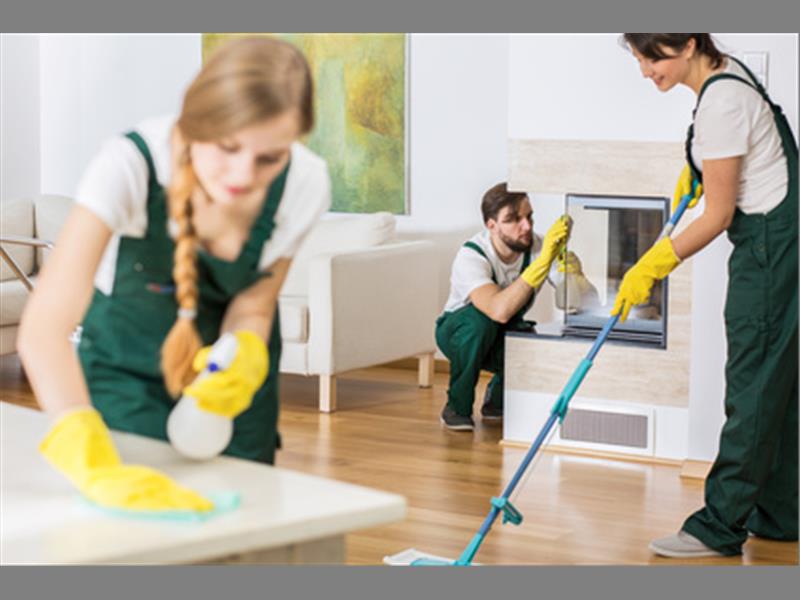 Angelicas Cleaning Services