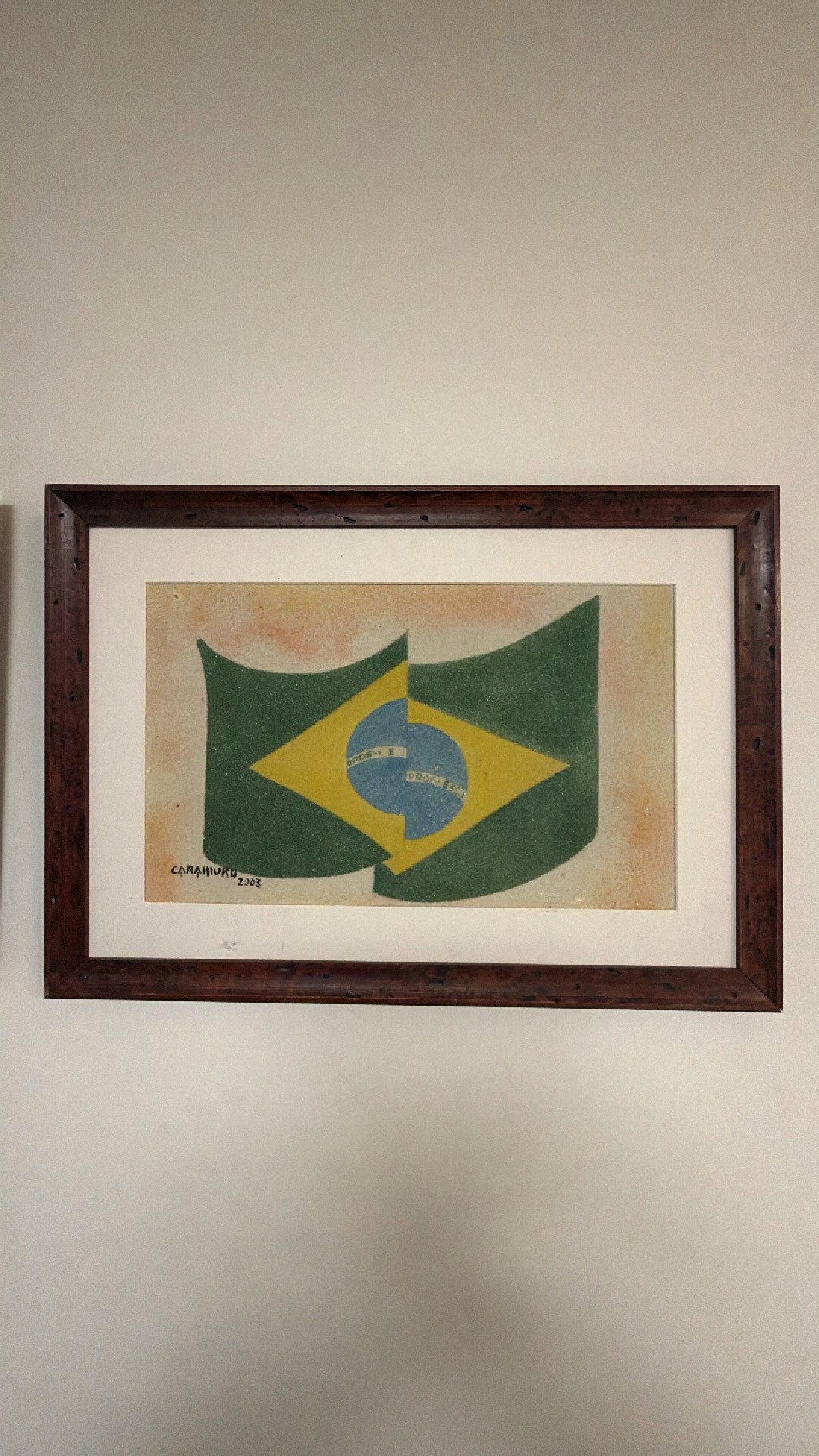 Brazilian Flag