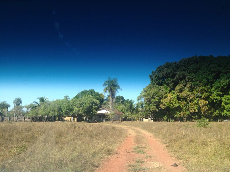 Imagem de capa